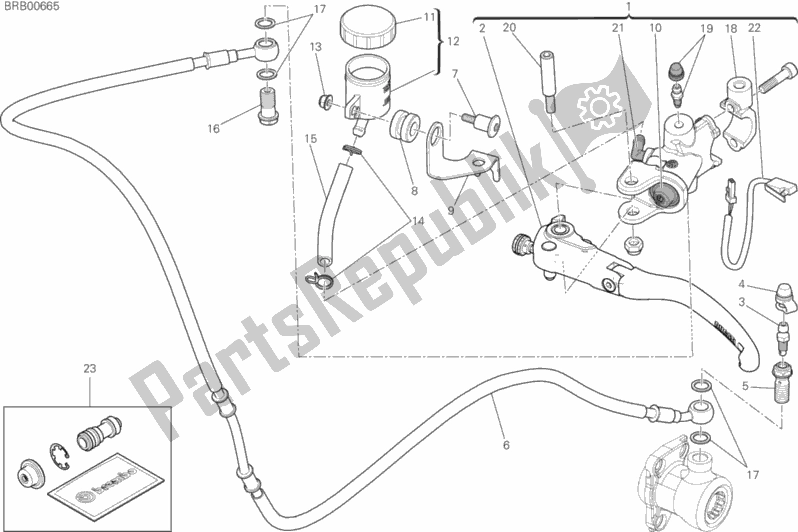 All parts for the Clutch Control of the Ducati Monster 1200 25 TH Anniversario USA 2019